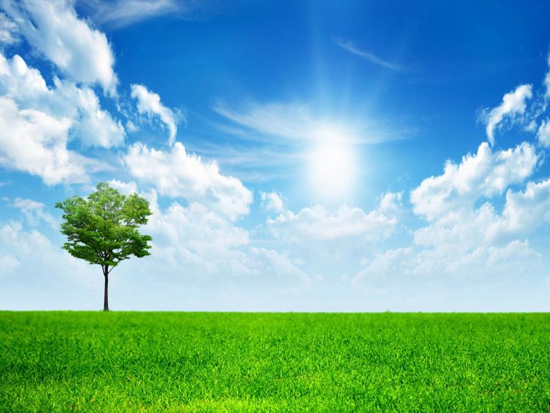 Detail Nature Background Powerpoint Presentation Nomer 30