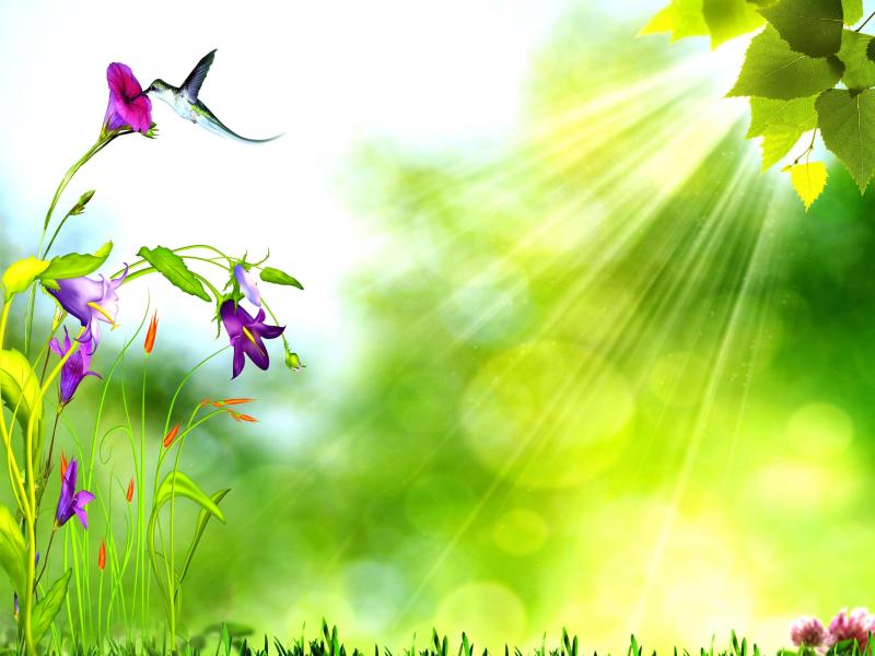 Detail Nature Background Powerpoint Presentation Nomer 34