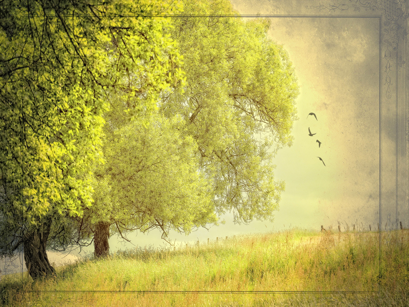 Detail Nature Background Powerpoint Presentation Nomer 39