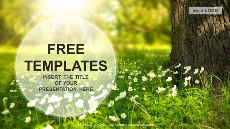 Detail Nature Background Powerpoint Presentation Nomer 50