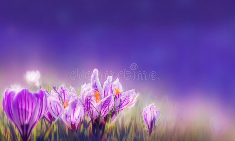 Detail Nature Background Powerpoint Presentation Nomer 54