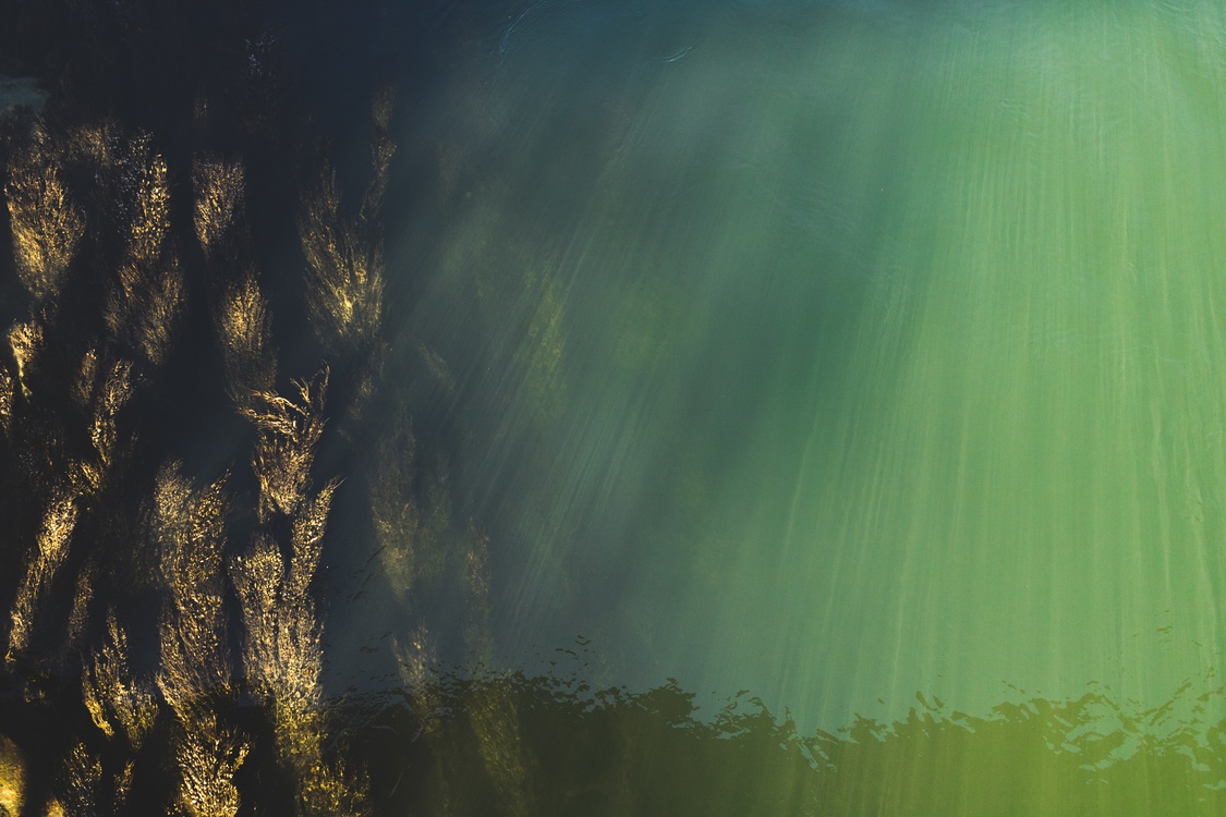 Detail Nature Background Powerpoint Presentation Nomer 55