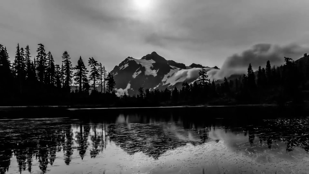Download Nature Black And White Nomer 53
