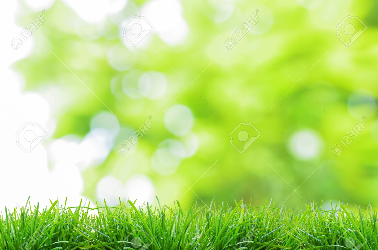 Detail Nature Green Background Nomer 24