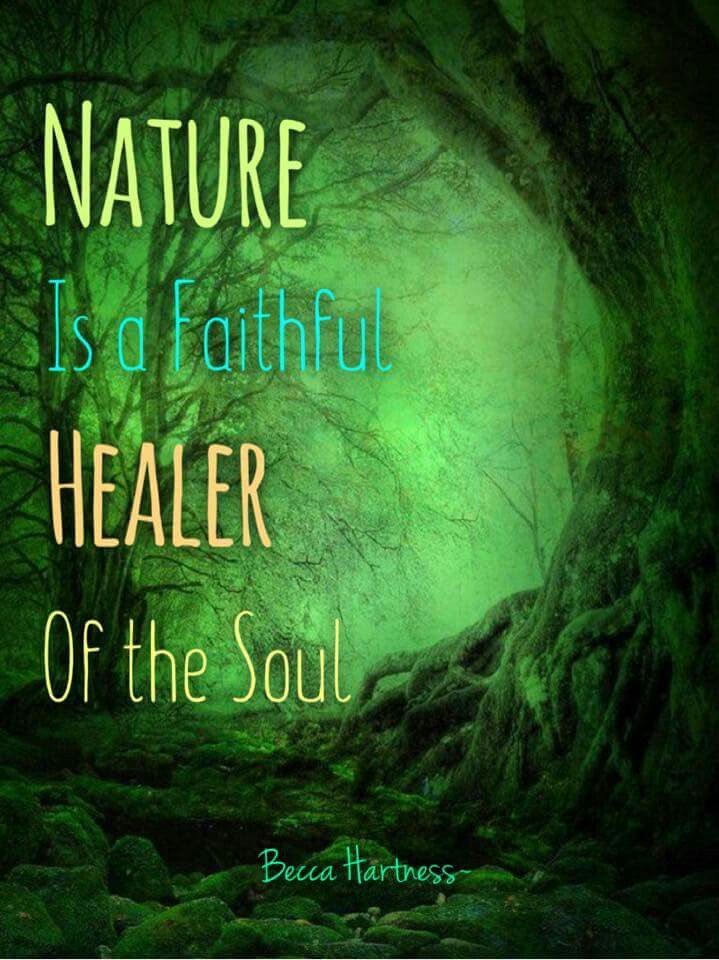 Detail Nature Healing Quotes Nomer 20