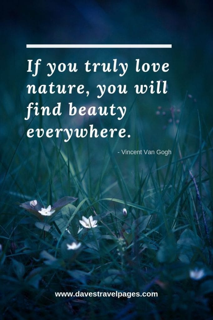 Detail Nature Love Quotes Nomer 36