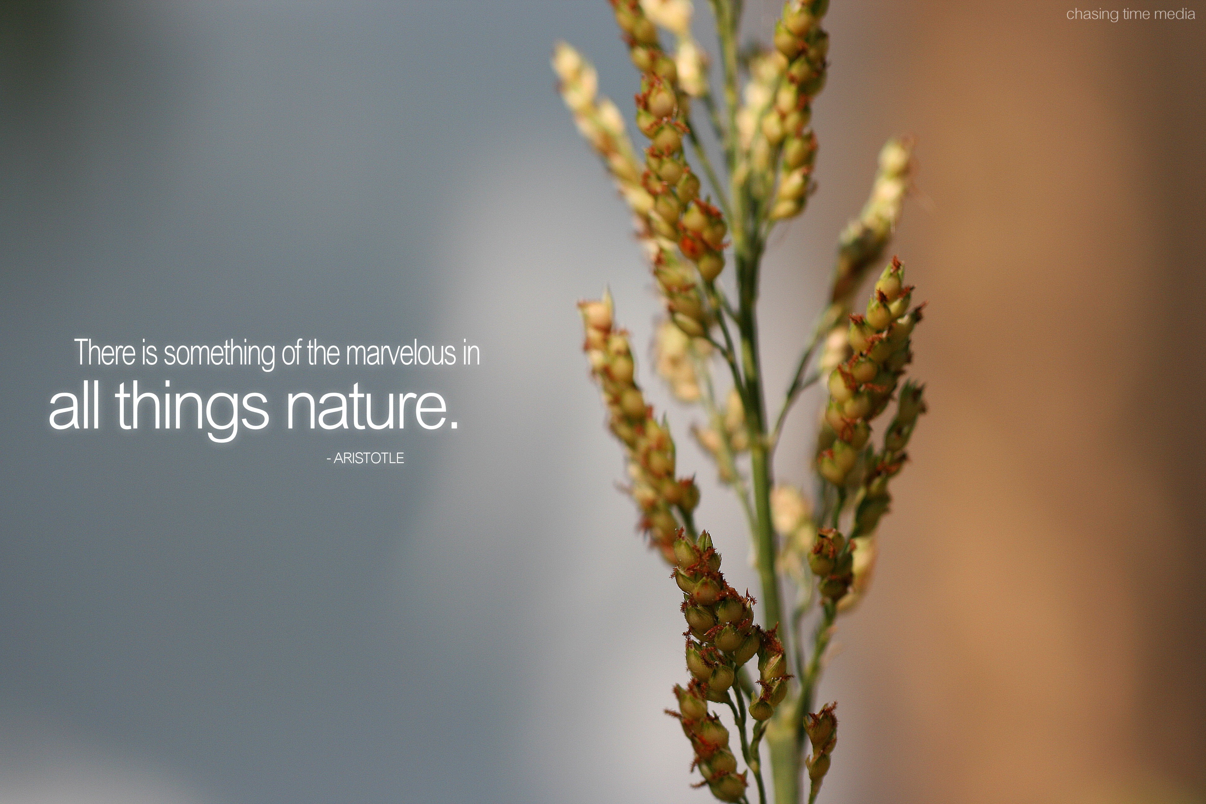 Detail Nature Photography Quotes And Sayings Nomer 13