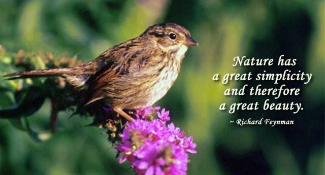 Detail Nature Photography Quotes And Sayings Nomer 27