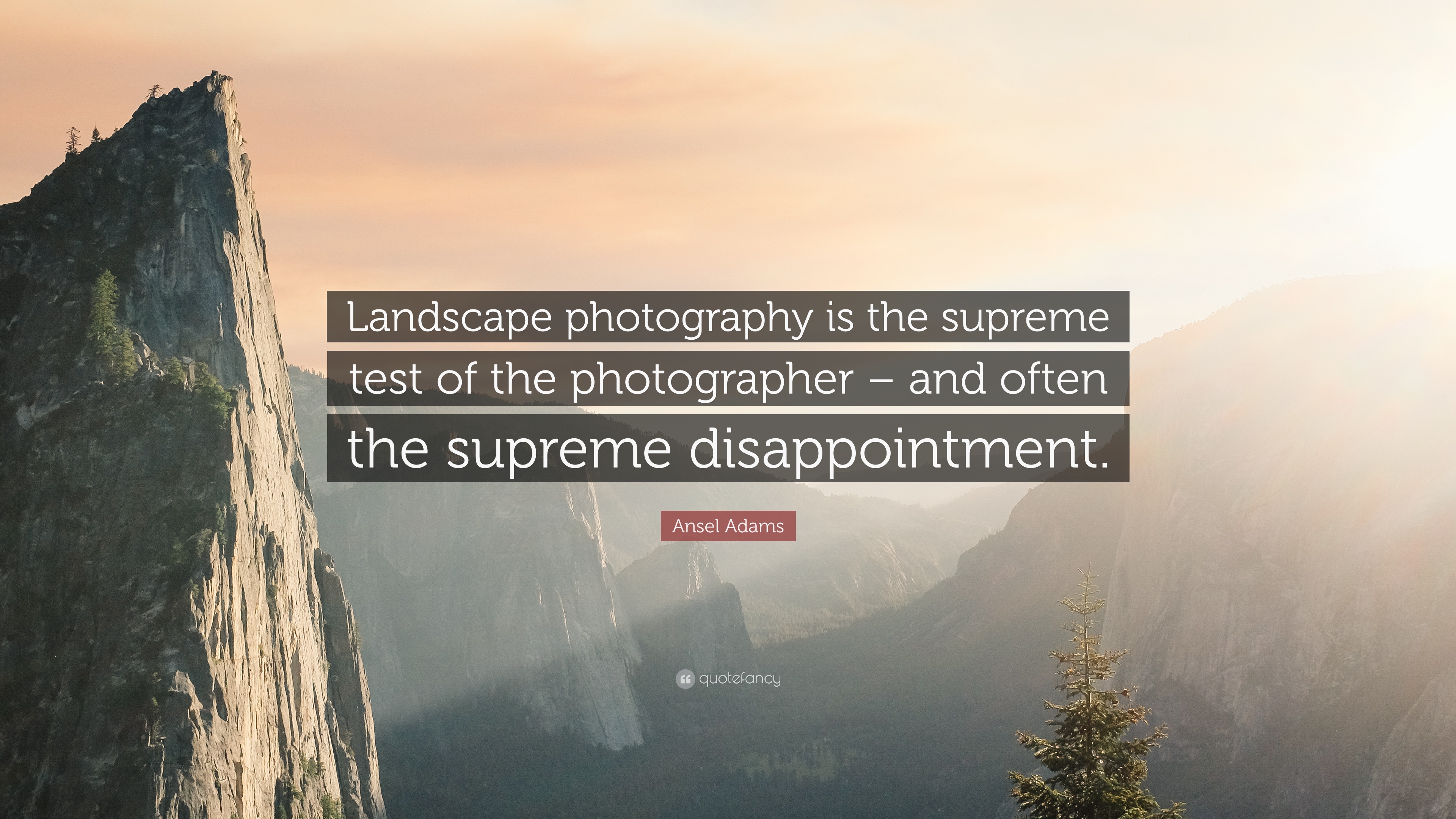 Detail Nature Photography Quotes And Sayings Nomer 28