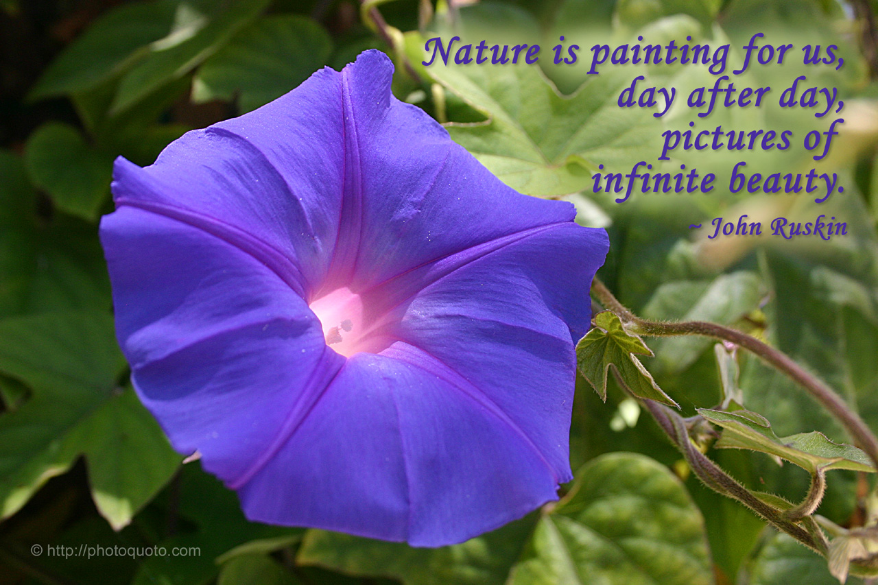 Detail Nature Photography Quotes And Sayings Nomer 39