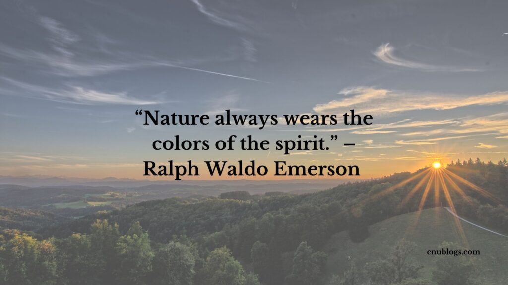 Detail Nature Photography Quotes And Sayings Nomer 54