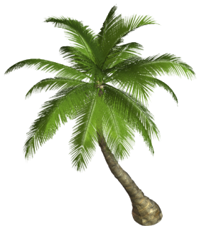 Detail Nature Png Images Nomer 17