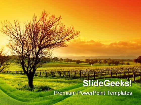 Detail Nature Powerpoint Background Nomer 17