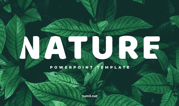 Detail Nature Powerpoint Background Nomer 34