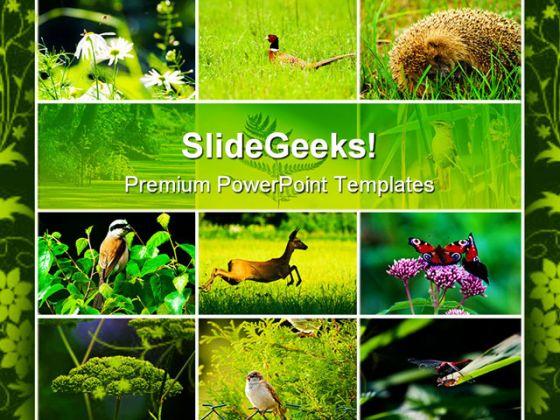 Detail Nature Powerpoint Background Nomer 47