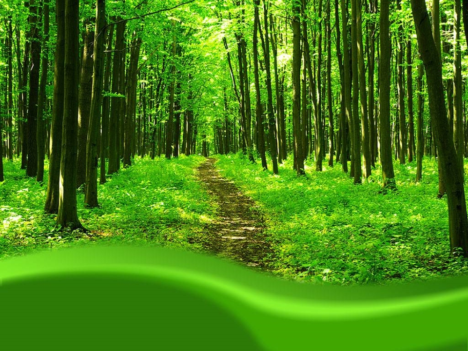 Detail Nature Powerpoint Background Nomer 9