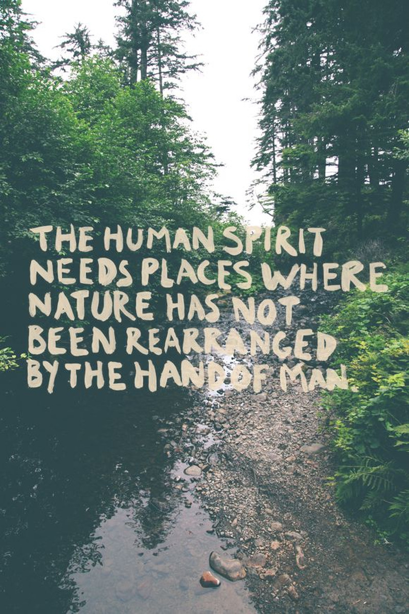 Detail Nature Quotes Tumblr Nomer 41