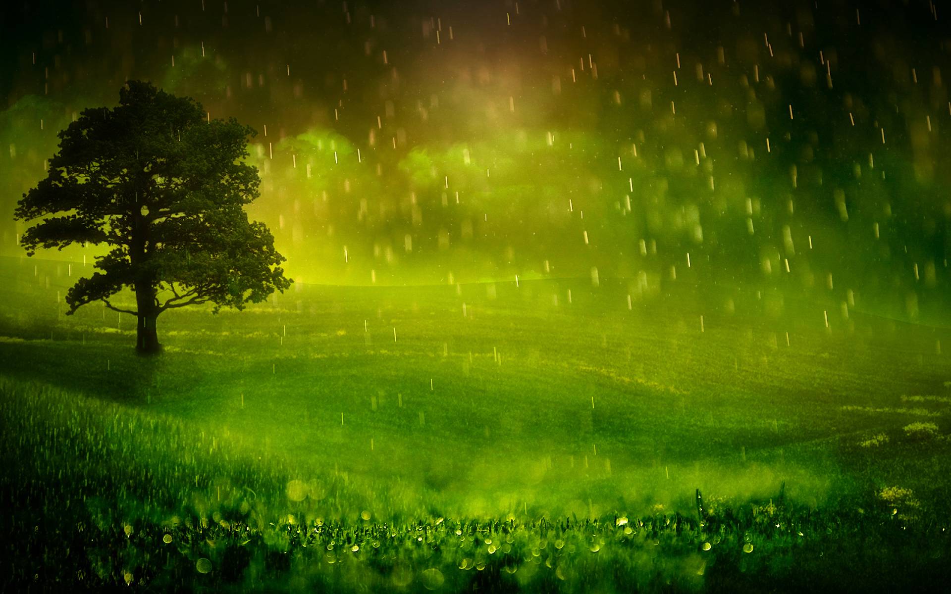 Detail Nature Rain Background Nomer 15