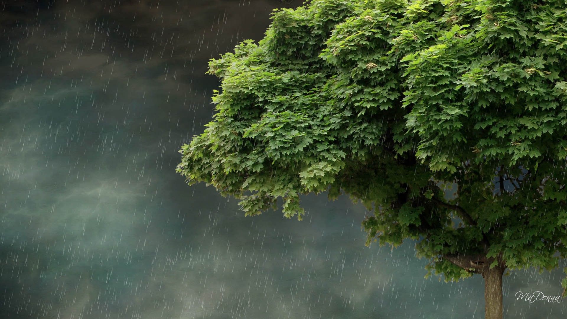 Detail Nature Rain Background Nomer 4