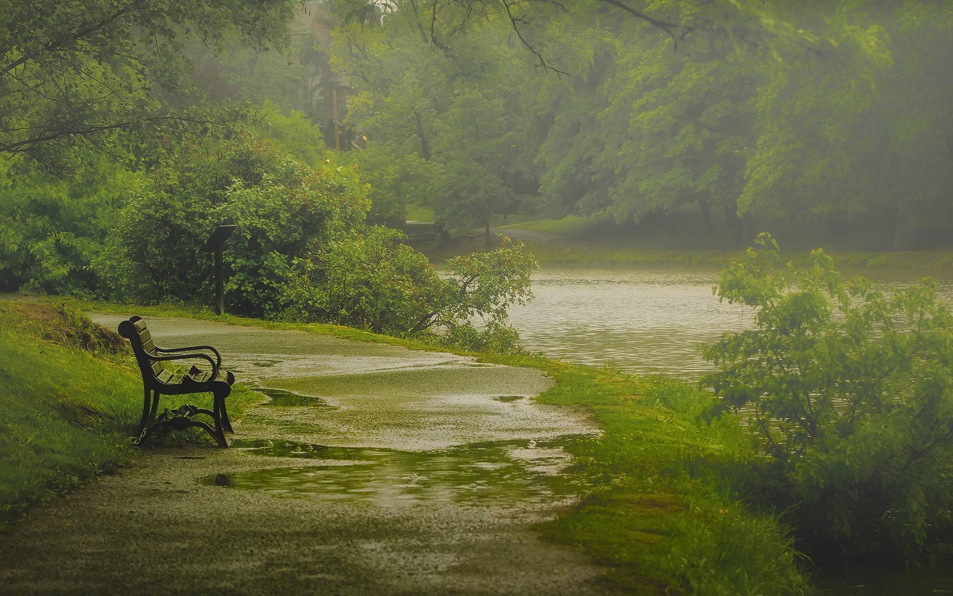 Detail Nature Rain Images Nomer 10