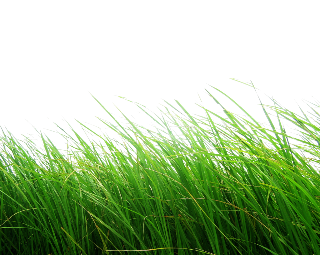 Detail Nature Transparent Background Nomer 12