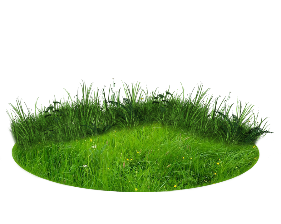 Detail Nature Transparent Background Nomer 14