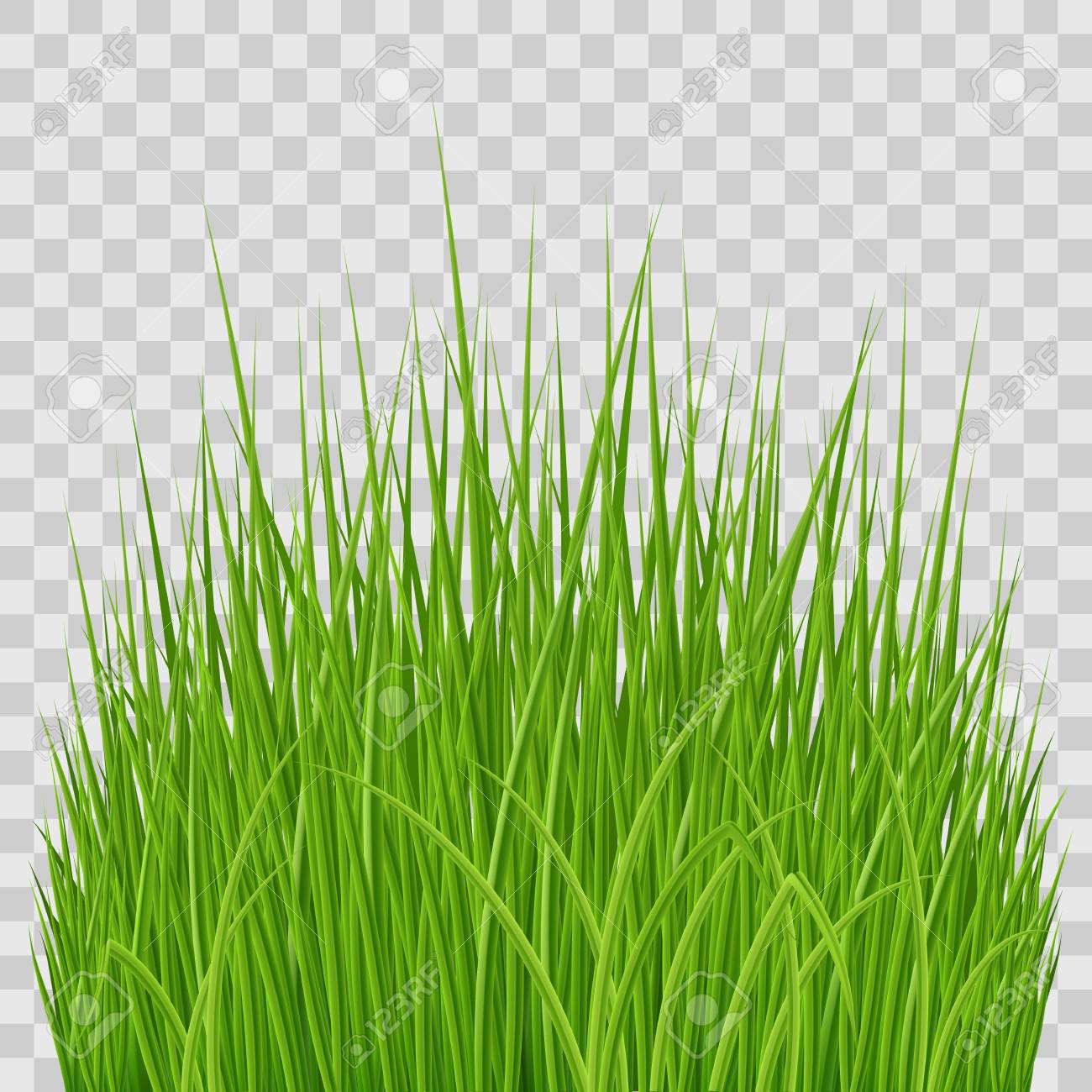 Detail Nature Transparent Background Nomer 18
