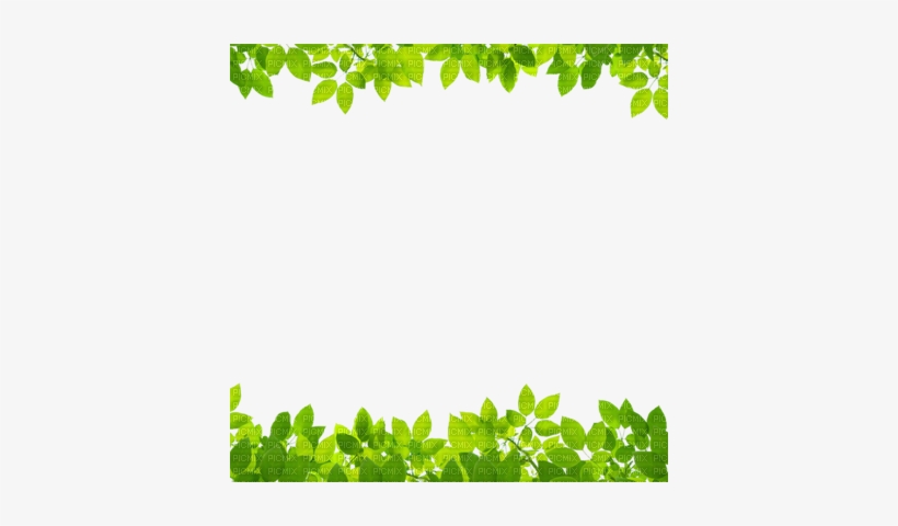 Detail Nature Transparent Background Nomer 27