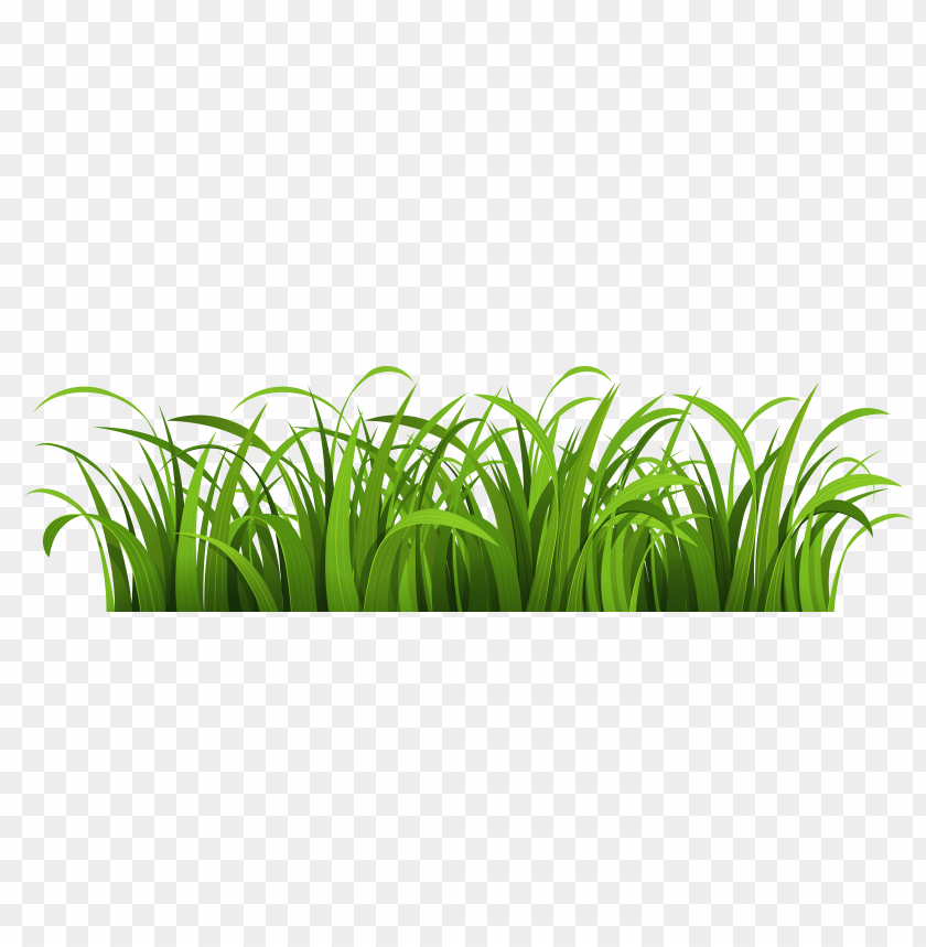 Detail Nature Transparent Background Nomer 31