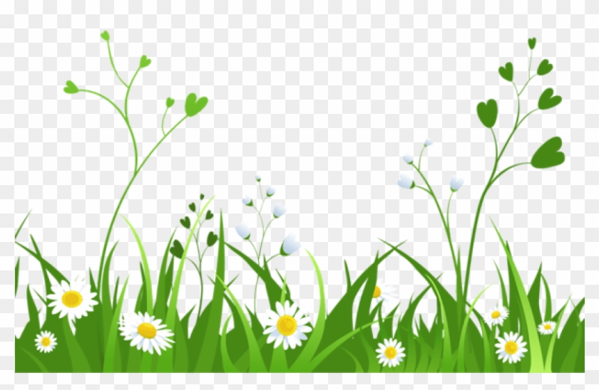 Detail Nature Transparent Background Nomer 32