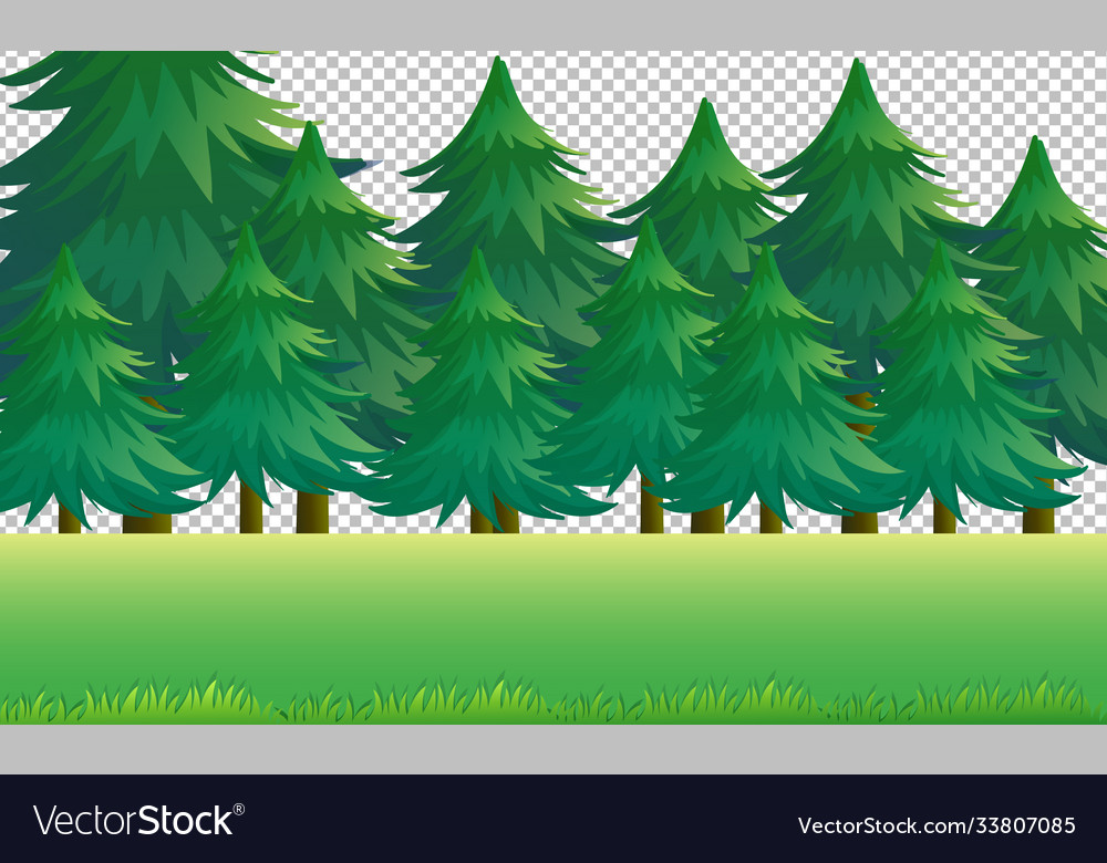 Detail Nature Transparent Background Nomer 36