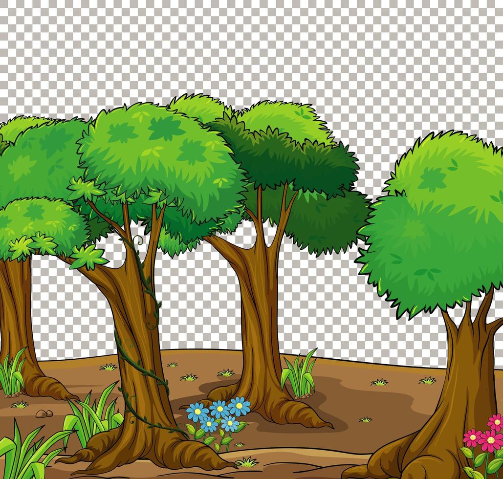 Detail Nature Transparent Background Nomer 40