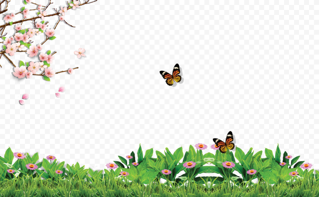 Detail Nature Transparent Background Nomer 45