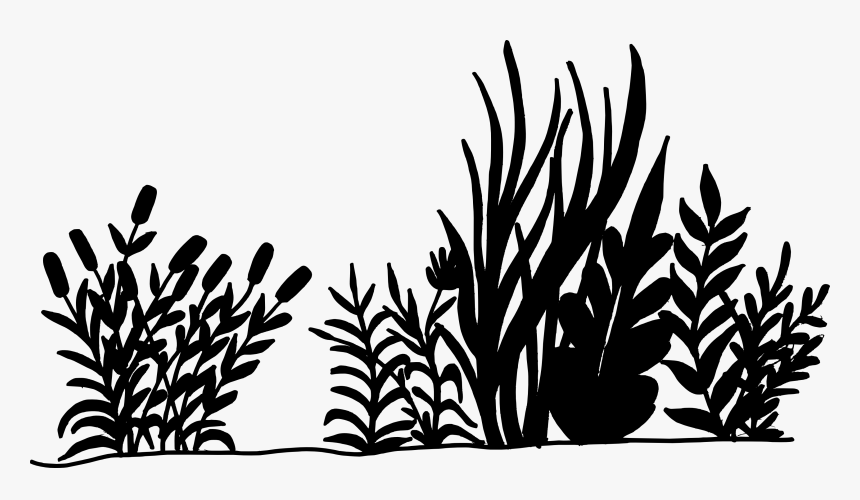 Detail Nature Transparent Background Nomer 46
