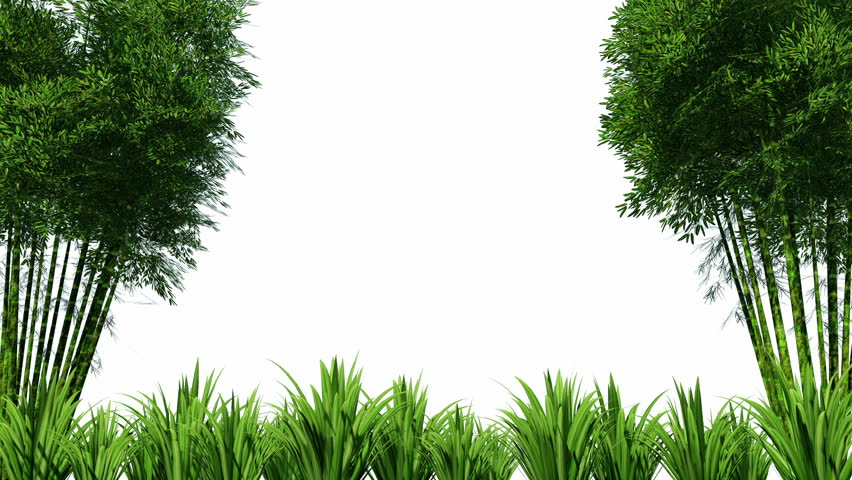 Detail Nature Transparent Background Nomer 47