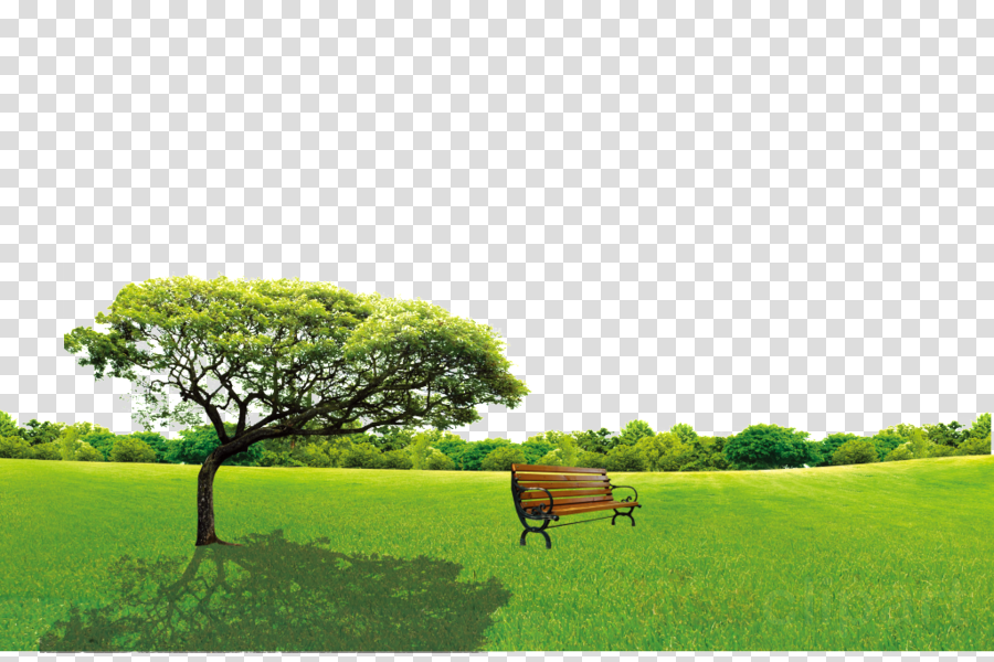 Detail Nature Transparent Background Nomer 48
