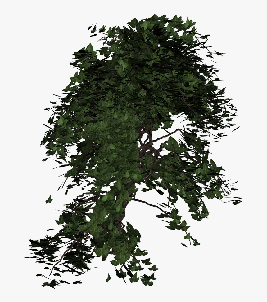 Detail Nature Transparent Background Nomer 7