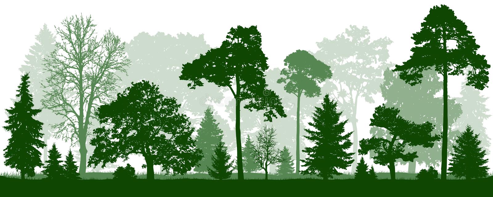 Detail Nature Vector Png Nomer 45