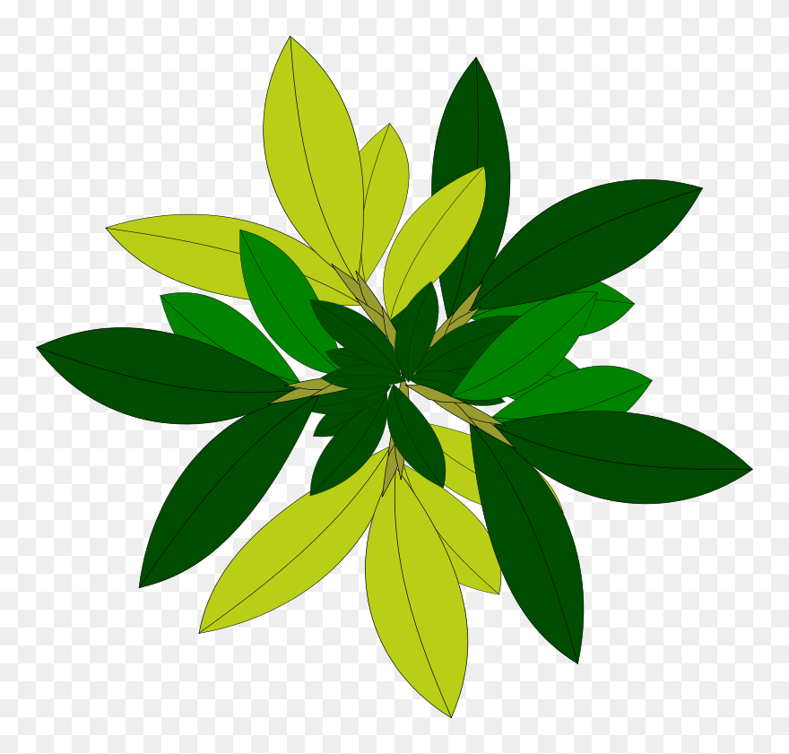 Detail Nature Vector Png Nomer 47