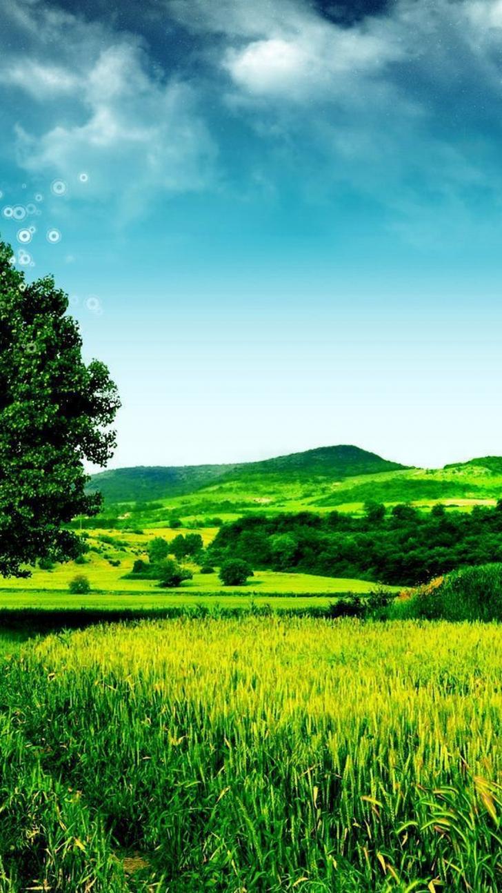 Detail Nature Wallpaper Android Nomer 11