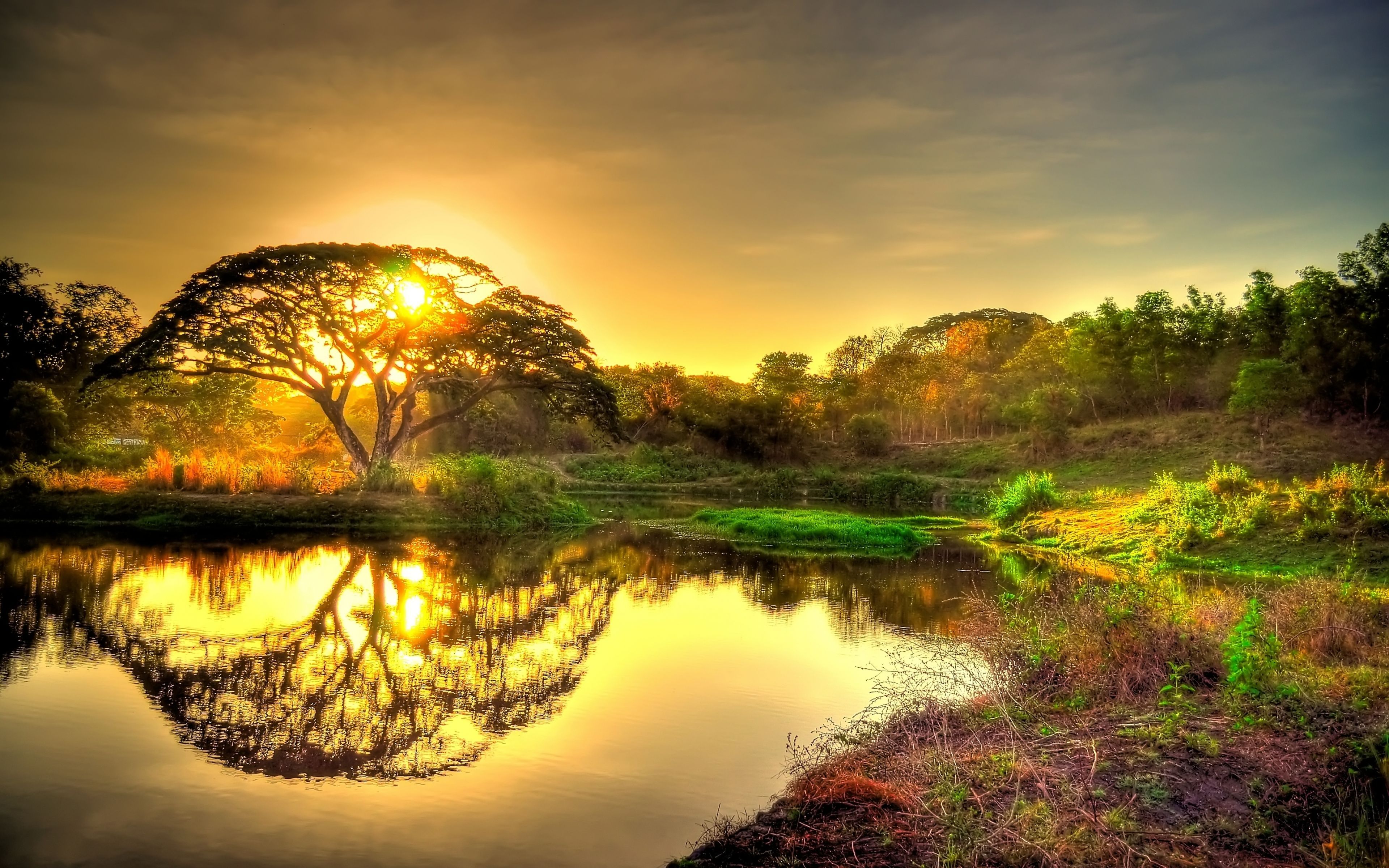 Detail Nature Wallpaper Download For Pc Nomer 16