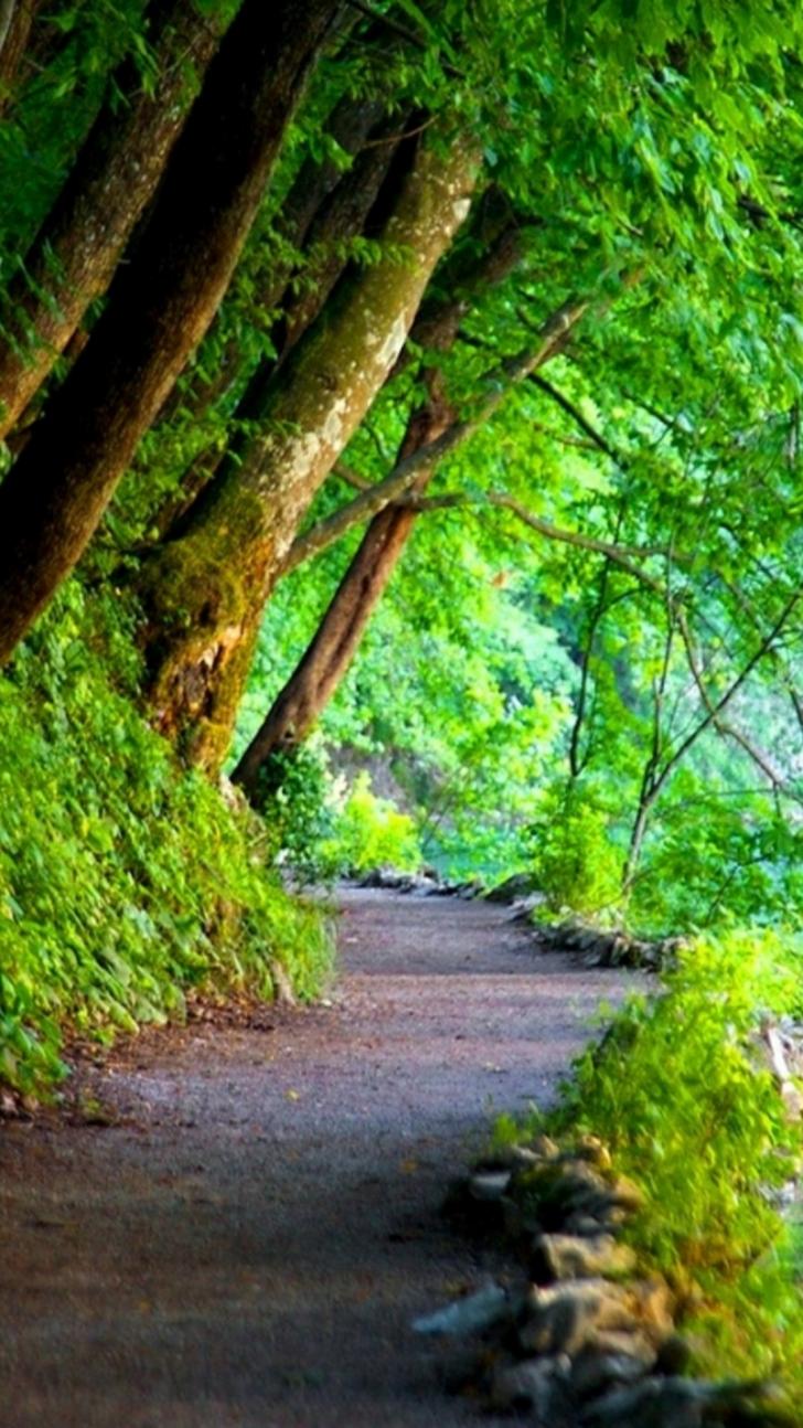 Detail Nature Wallpaper For Android Nomer 27