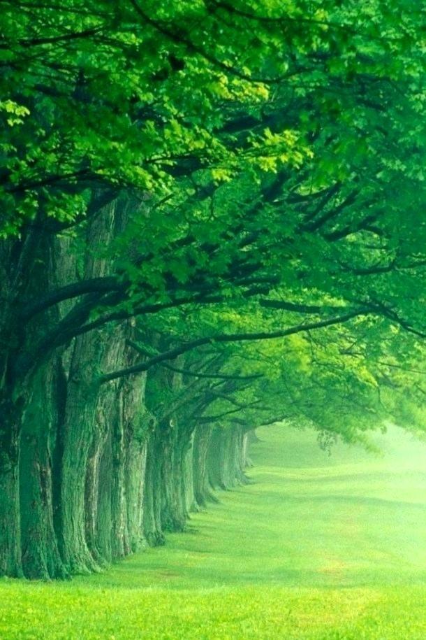 Detail Nature Wallpaper Hd Download Nomer 35