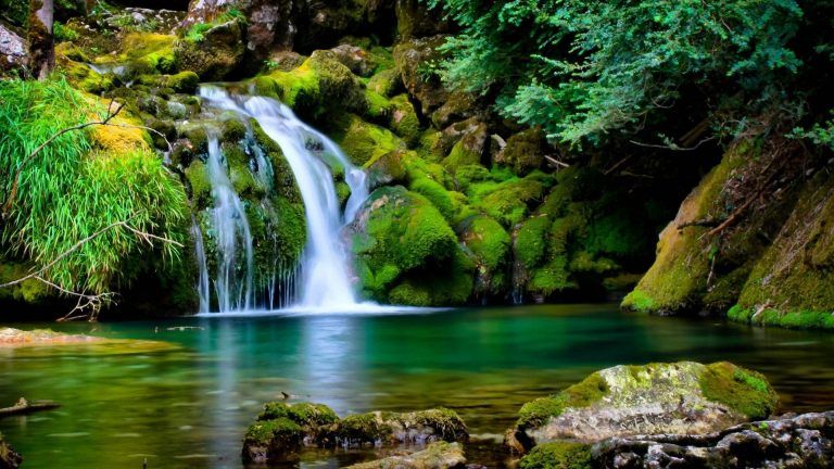 Detail Nature Wallpaper Hd Download Nomer 6