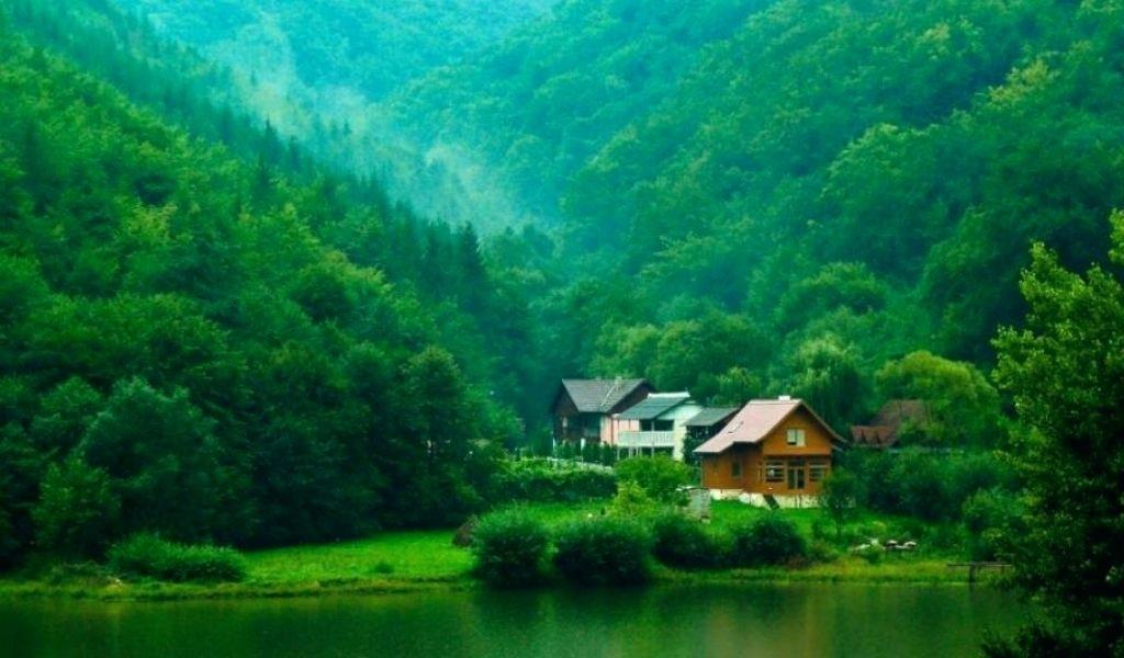 Detail Nature Wallpaper Hd Download Nomer 54