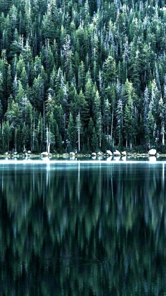 Detail Nature Wallpaper Hd For Mobile Nomer 56