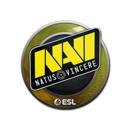 Detail Natus Vincere Logo Png Nomer 53