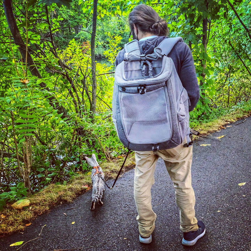 Navigator Cat Backpack - KibrisPDR