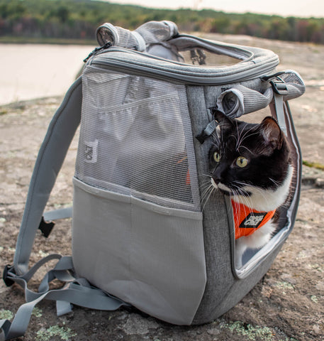 Detail Navigator Cat Backpack Nomer 17