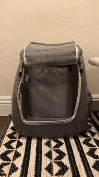 Detail Navigator Cat Backpack Nomer 23